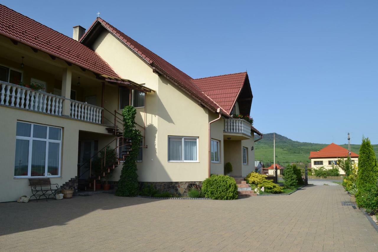 Margareta Vendeghaz Hotel Lupeni  ภายนอก รูปภาพ